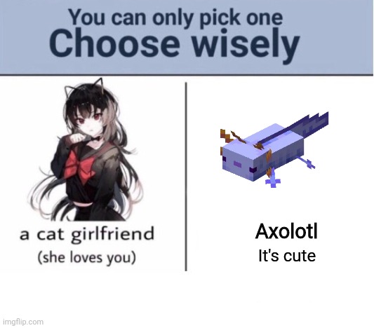 Choose wisely | Axolotl; It's cute | image tagged in choose wisely,axolotl,axolotl drake,blue axolotl,minecraft axolotl | made w/ Imgflip meme maker