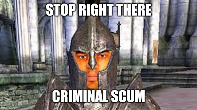 Stop right there criminal scum | STOP RIGHT THERE CRIMINAL SCUM | image tagged in stop right there criminal scum | made w/ Imgflip meme maker