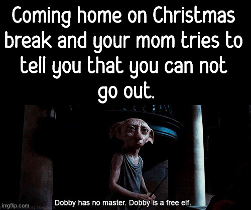 You are a free elf. |  Coming home on Christmas 
break and your mom tries to 
tell you that you can not 
go out. | image tagged in dobby has no master,christmas,moms,home | made w/ Imgflip meme maker