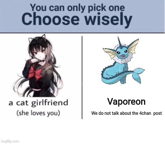 We don't talk about that around here this is a Christian website | Vaporeon; We do not talk about the 4chan  post | image tagged in choose wisely,vaporeon,4chan,4chan vaporeon,pokemon | made w/ Imgflip meme maker