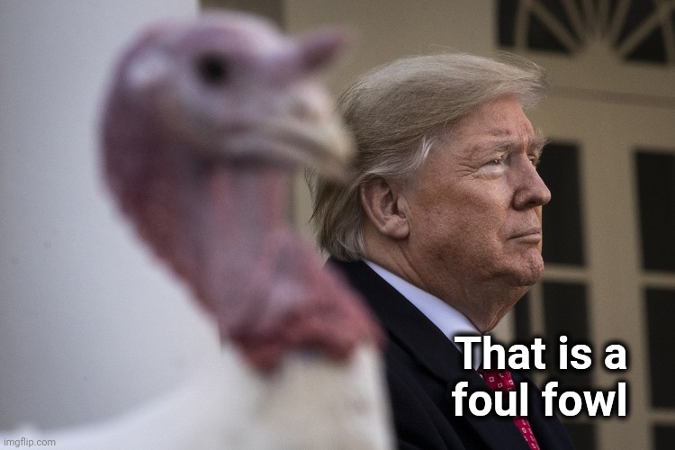 Trump Turkey | That is a   
foul fowl | image tagged in trump turkey | made w/ Imgflip meme maker
