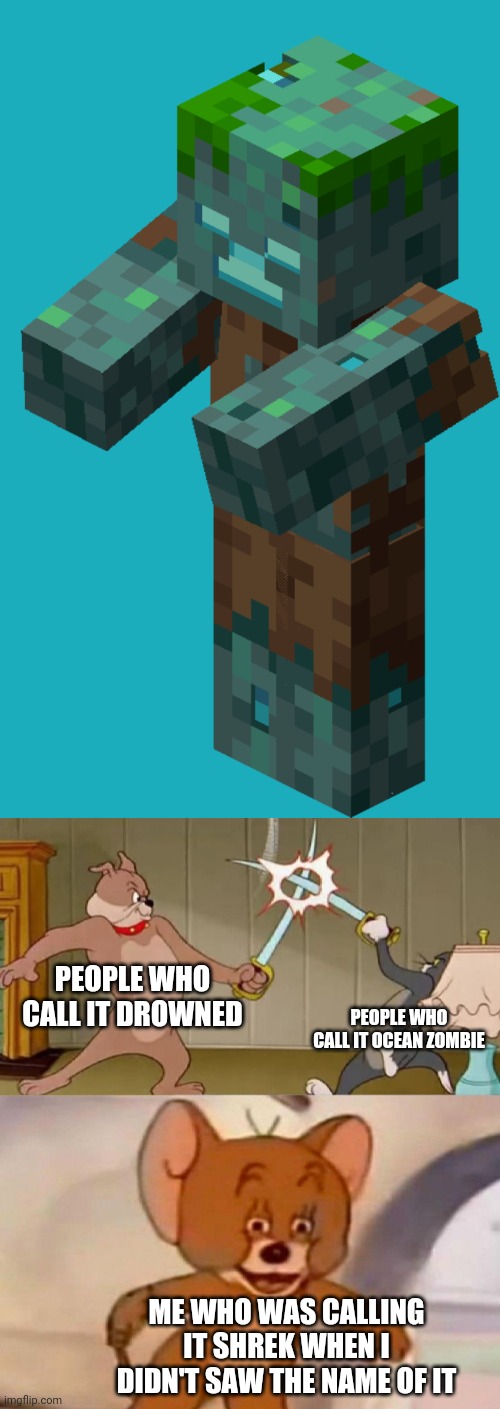 *Tries to insert a clever title to this meme* | PEOPLE WHO CALL IT DROWNED; PEOPLE WHO CALL IT OCEAN ZOMBIE; ME WHO WAS CALLING IT SHREK WHEN I DIDN'T SAW THE NAME OF IT | image tagged in minecraft drowned,tom and jerry swordfight,drowned,ocean zombie,shrek,tom and jerry | made w/ Imgflip meme maker