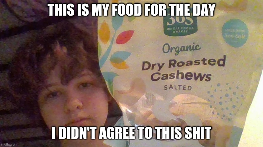 THIS IS MY FOOD FOR THE DAY; I DIDN'T AGREE TO THIS SHIT | made w/ Imgflip meme maker
