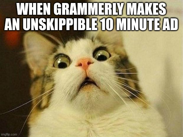 Scared Cat | WHEN GRAMMERLY MAKES AN UNSKIPPIBLE 10 MINUTE AD | image tagged in memes,scared cat | made w/ Imgflip meme maker