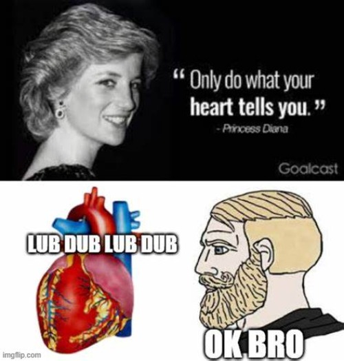 Lub Dub Lub Dub Lub Dub Lub Dub Lub Dub Lub Dub Lub Dub Lub Dub Lub Dub | made w/ Imgflip meme maker