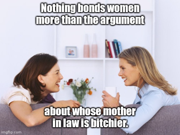 I've seen it happen before. | Nothing bonds women more than the argument; about whose mother in law is bitchier. | image tagged in women talking,funny | made w/ Imgflip meme maker