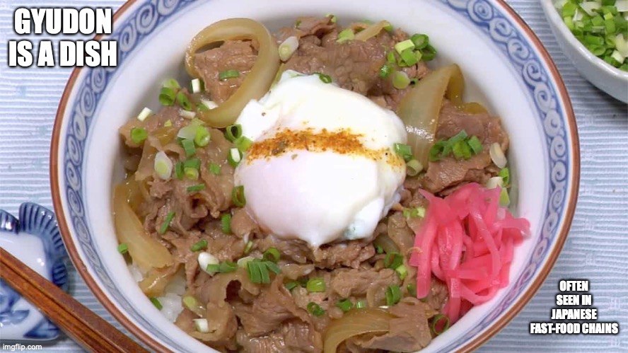 Gyudon | GYUDON IS A DISH; OFTEN SEEN IN JAPANESE FAST-FOOD CHAINS | image tagged in food,memes | made w/ Imgflip meme maker