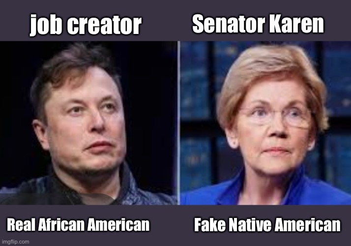 Job creator vs career politician | Senator Karen; job creator; Real African American; Fake Native American | image tagged in elon musk,elizabeth warren,memes,politics lol | made w/ Imgflip meme maker