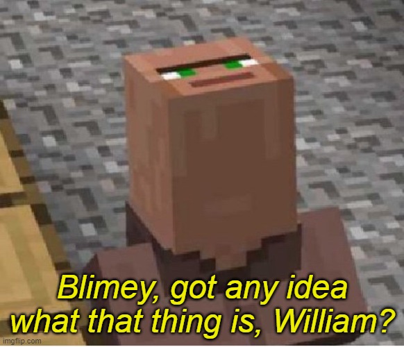 Minecraft Villager Looking Up | Blimey, got any idea what that thing is, William? | image tagged in minecraft villager looking up | made w/ Imgflip meme maker