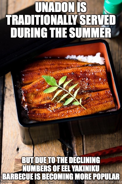 Unadon | UNADON IS TRADITIONALLY SERVED DURING THE SUMMER; BUT DUE TO THE DECLINING NUMBERS OF EEL YAKINIKU BARBECUE IS BECOMING MORE POPULAR | image tagged in food,memes | made w/ Imgflip meme maker