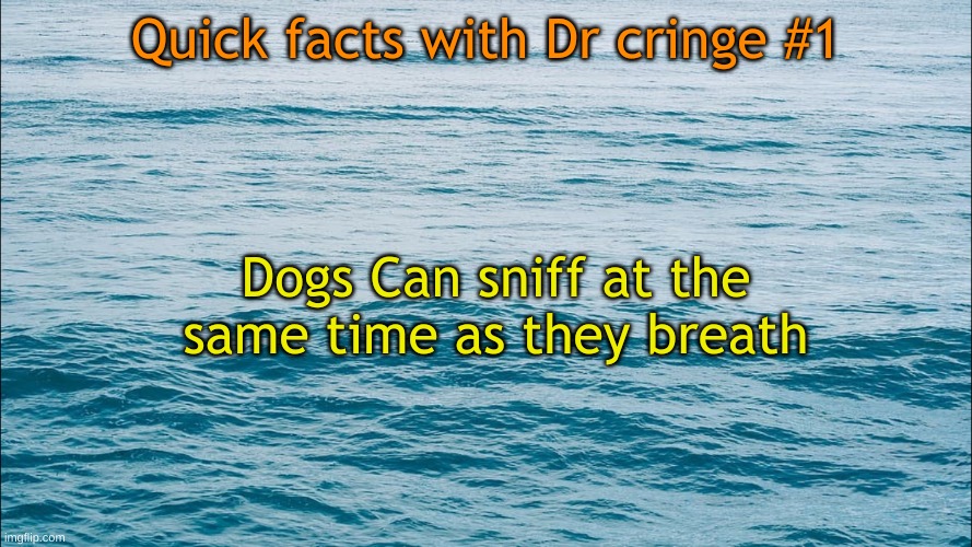 Title | Quick facts with Dr cringe #1; Dogs Can sniff at the same time as they breath | image tagged in dogs,quick facts | made w/ Imgflip meme maker