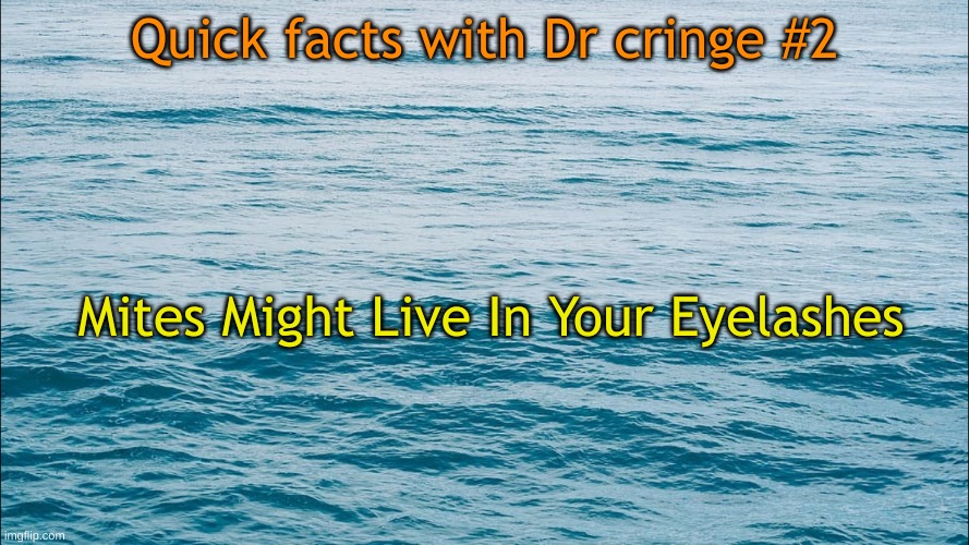 Title 2 | Quick facts with Dr cringe #2; Mites Might Live In Your Eyelashes | image tagged in humans,quick facts | made w/ Imgflip meme maker