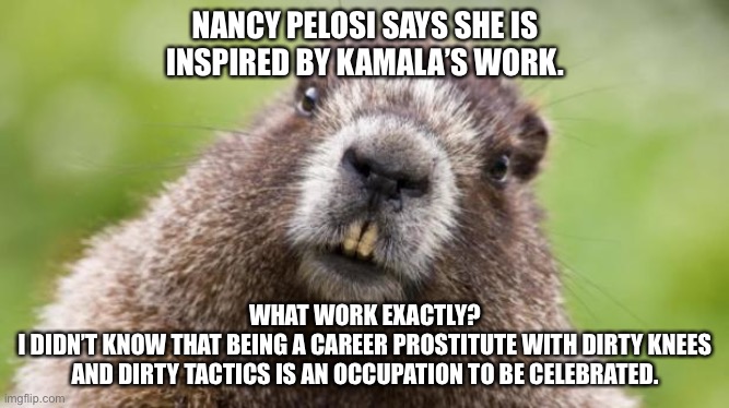 Pelosi loves progressive political prostitutes | NANCY PELOSI SAYS SHE IS
INSPIRED BY KAMALA’S WORK. WHAT WORK EXACTLY?
I DIDN’T KNOW THAT BEING A CAREER PROSTITUTE WITH DIRTY KNEES
AND DIRTY TACTICS IS AN OCCUPATION TO BE CELEBRATED. | image tagged in mr beaver,memes,nancy pelosi,kamala harris,prostitute,take a knee | made w/ Imgflip meme maker