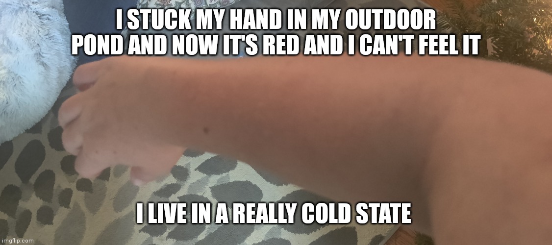 I STUCK MY HAND IN MY OUTDOOR POND AND NOW IT'S RED AND I CAN'T FEEL IT; I LIVE IN A REALLY COLD STATE | made w/ Imgflip meme maker