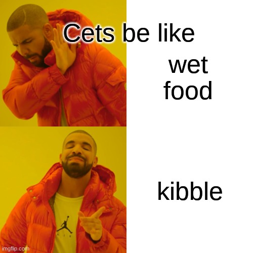 Cets be like |  Cets be like; wet food; kibble | image tagged in memes,drake hotline bling,cats,kibble,wet food | made w/ Imgflip meme maker