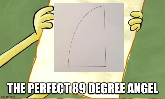 THE PERFECT 89 DEGREE ANGEL | made w/ Imgflip meme maker