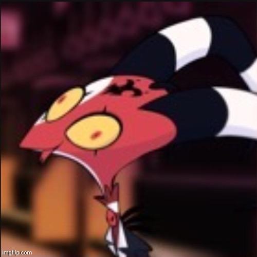 Derp | image tagged in derp | made w/ Imgflip meme maker