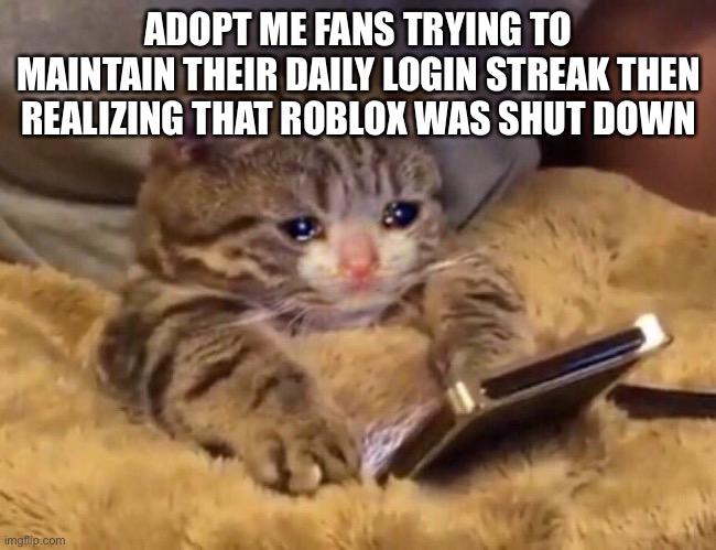 Sad cat watching video | ADOPT ME FANS TRYING TO MAINTAIN THEIR DAILY LOGIN STREAK THEN REALIZING THAT ROBLOX WAS SHUT DOWN | image tagged in sad cat watching video | made w/ Imgflip meme maker