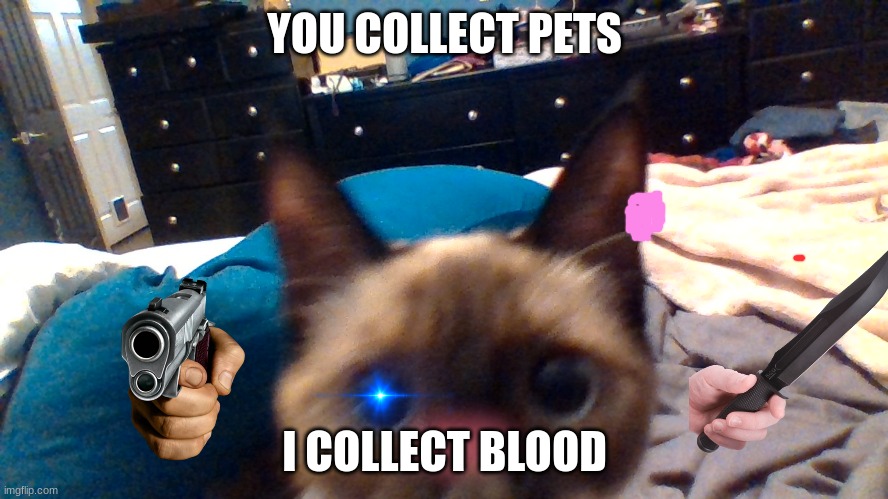 All cats be like | YOU COLLECT PETS; I COLLECT BLOOD | image tagged in funny memes | made w/ Imgflip meme maker