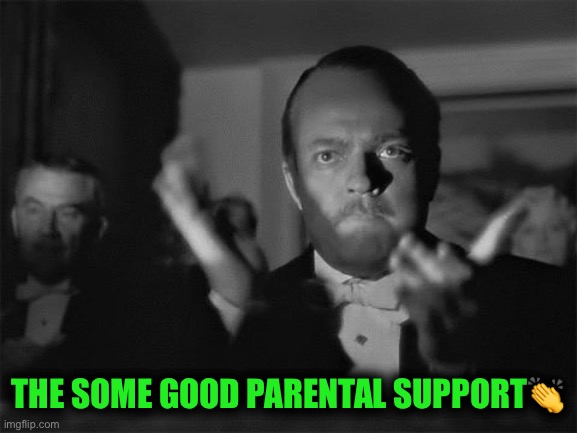 clapping | THE SOME GOOD PARENTAL SUPPORT? | image tagged in clapping | made w/ Imgflip meme maker