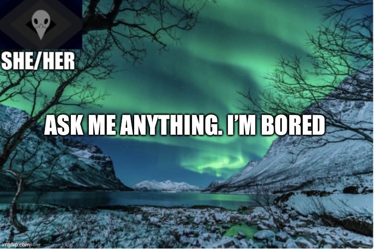 Northern Lights Termcollector Template | ASK ME ANYTHING. I’M BORED | image tagged in northern lights termcollector template | made w/ Imgflip meme maker