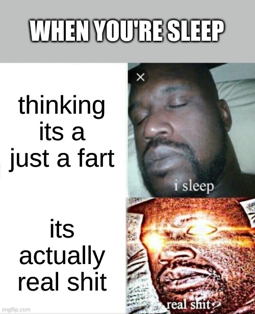 Sleeping Shaq | WHEN YOU'RE SLEEP; thinking its a just a fart; its actually real shit | image tagged in memes,sleeping shaq,funny,funny memes | made w/ Imgflip meme maker