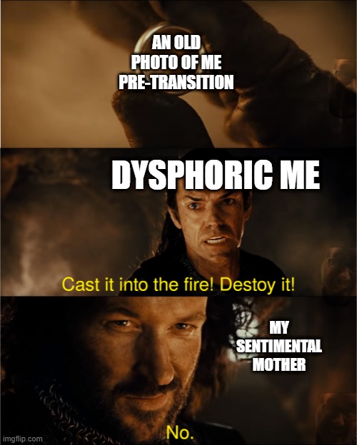 she keeps it on the shelf in the living room and everything | AN OLD PHOTO OF ME PRE-TRANSITION; DYSPHORIC ME; MY SENTIMENTAL MOTHER | image tagged in cast it into the fire | made w/ Imgflip meme maker