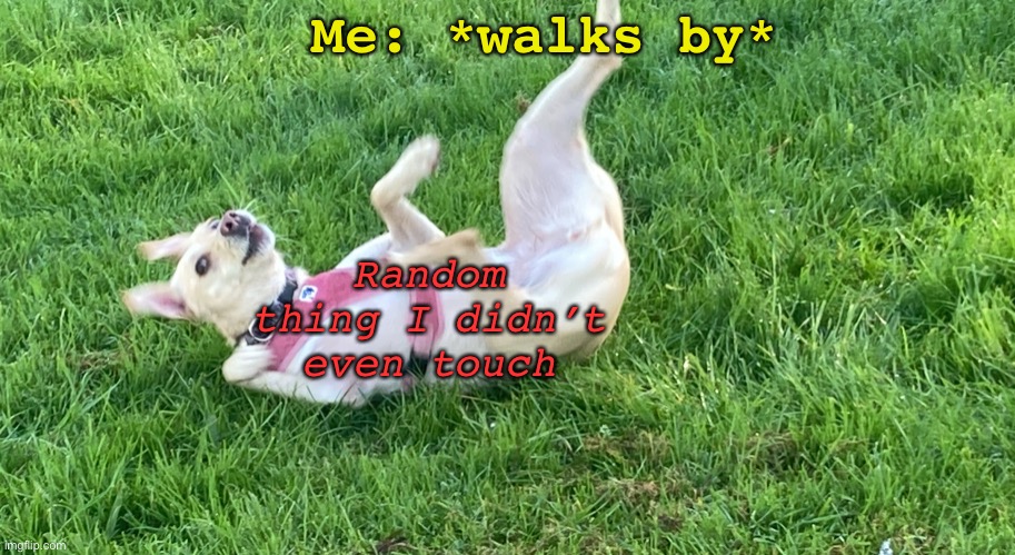 It’s like my super power | Me: *walks by*; Random thing I didn’t even touch | image tagged in doggo falling back,things falling for no reason,dog,super power,clutz,random | made w/ Imgflip meme maker