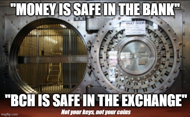 Not your keys, not your coins | "MONEY IS SAFE IN THE BANK"; "BCH IS SAFE IN THE EXCHANGE"; Not your keys, not your coins | image tagged in bank vault,bitcoin cash,keys | made w/ Imgflip meme maker