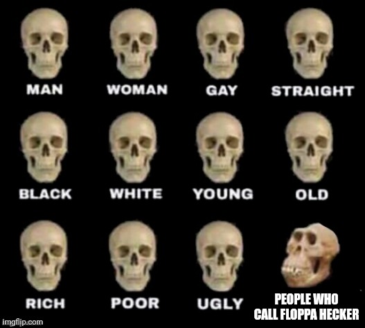 idiot skull | PEOPLE WHO CALL FLOPPA HECKER | image tagged in idiot skull | made w/ Imgflip meme maker