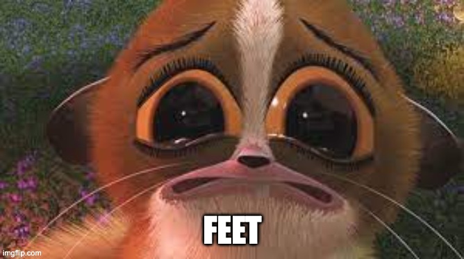 mort sad | FEET | image tagged in lemur,funny,feet | made w/ Imgflip meme maker