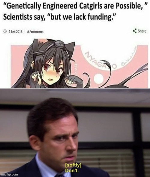 here come the weebs | image tagged in michael dont,genetics,the office | made w/ Imgflip meme maker