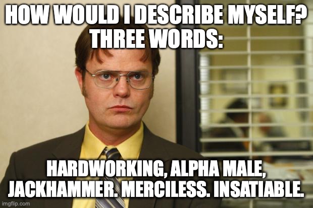 How would I describe myself? | HOW WOULD I DESCRIBE MYSELF?
THREE WORDS:; HARDWORKING, ALPHA MALE, JACKHAMMER. MERCILESS. INSATIABLE. | image tagged in dwight false | made w/ Imgflip meme maker