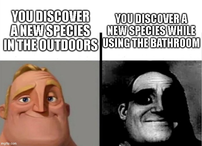 Teacher's Copy | YOU DISCOVER A NEW SPECIES WHILE USING THE BATHROOM; YOU DISCOVER A NEW SPECIES IN THE OUTDOORS | image tagged in teacher's copy,memes,new species | made w/ Imgflip meme maker