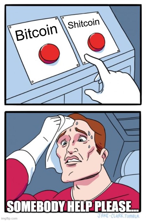 Crypto conundrum... | Shitcoin; Bitcoin; SOMEBODY HELP PLEASE... | image tagged in memes,two buttons | made w/ Imgflip meme maker