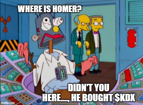 Homer working hard | WHERE IS HOMER? DIDN'T YOU HERE...., HE BOUGHT $KDX | image tagged in homer working hard | made w/ Imgflip meme maker