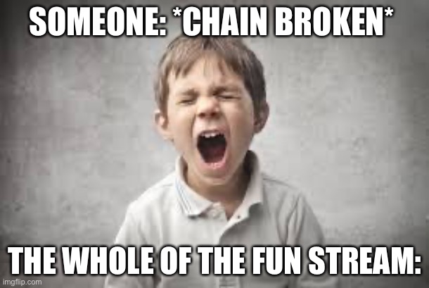 screaming kid | SOMEONE: *CHAIN BROKEN*; THE WHOLE OF THE FUN STREAM: | image tagged in screaming kid | made w/ Imgflip meme maker
