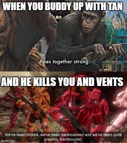 this just happened to me | WHEN YOU BUDDY UP WITH TAN; AND HE KILLS YOU AND VENTS | image tagged in ape together strong,we've been tricked,among us,why | made w/ Imgflip meme maker