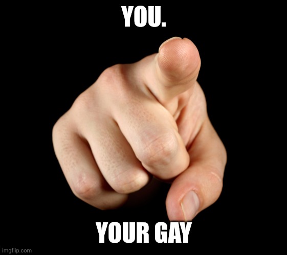 That’s him officer | YOU. YOUR GAY | image tagged in that s him officer | made w/ Imgflip meme maker