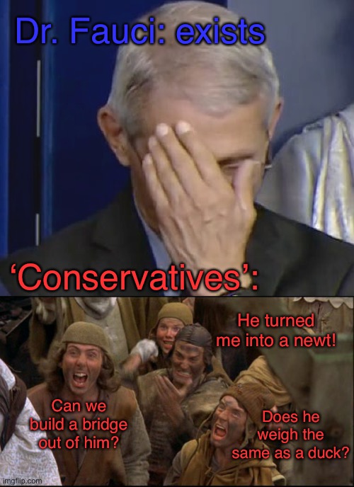 Dr. Fauci: exists; ‘Conservatives’:; He turned me into a newt! Can we build a bridge out of him? Does he weigh the same as a duck? | image tagged in dr fauci,monty python witch | made w/ Imgflip meme maker