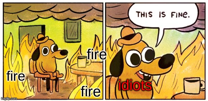 fire | fire; fire; idiots; fire | image tagged in memes,this is fine | made w/ Imgflip meme maker