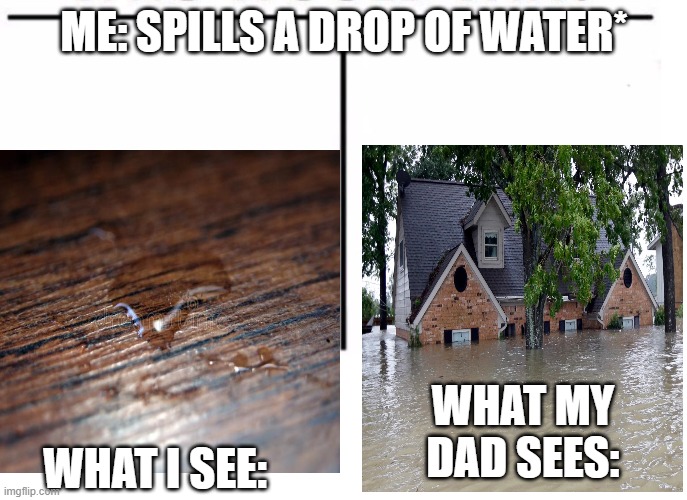 ME: SPILLS A DROP OF WATER*; WHAT MY DAD SEES:; WHAT I SEE: | image tagged in memes | made w/ Imgflip meme maker