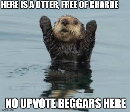 I love otters ? |  HERE IS A OTTER, FREE OF CHARGE; NO UPVOTE BEGGARS HERE | image tagged in cute,otter | made w/ Imgflip meme maker