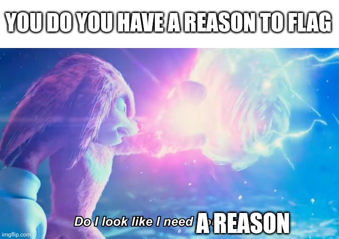 Do I look like I need your power? | YOU DO YOU HAVE A REASON TO FLAG; A REASON | image tagged in do i look like i need your power | made w/ Imgflip meme maker