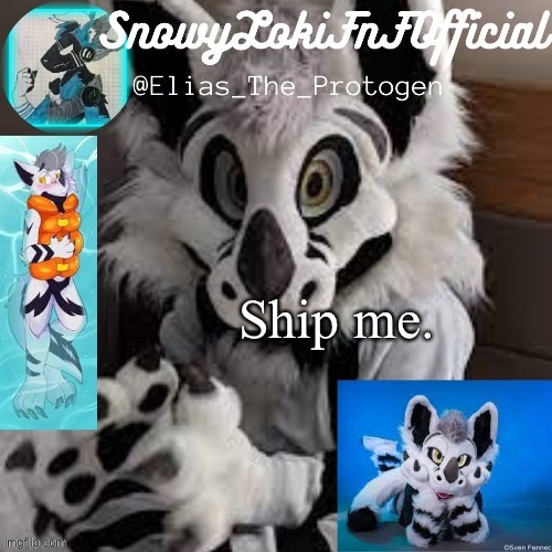 Maverick Temp | Ship me. | image tagged in maverick temp | made w/ Imgflip meme maker