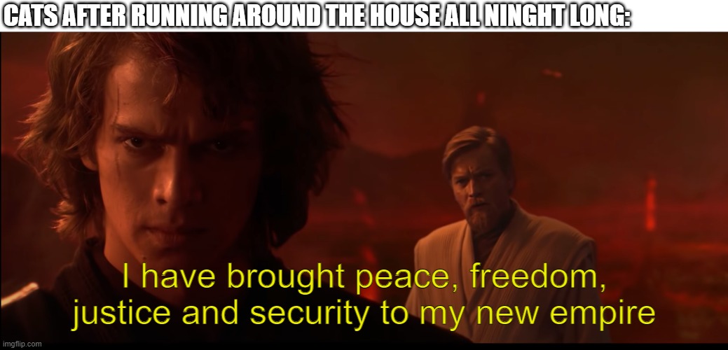 I have brought peace, freedom, justice and security to my new Em | CATS AFTER RUNNING AROUND THE HOUSE ALL NINGHT LONG:; I have brought peace, freedom, justice and security to my new empire | image tagged in i have brought peace freedom justice and security to my new em | made w/ Imgflip meme maker