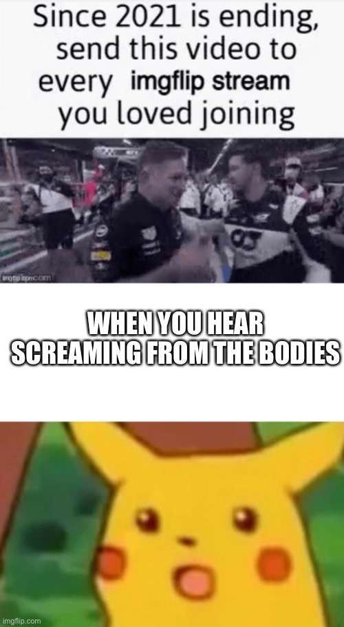  WHEN YOU HEAR SCREAMING FROM THE BODIES | image tagged in memes,surprised pikachu | made w/ Imgflip meme maker