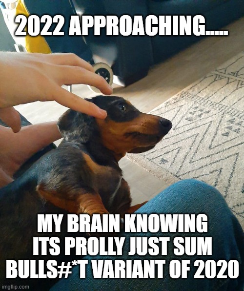 New Year | 2022 APPROACHING..... MY BRAIN KNOWING ITS PROLLY JUST SUM BULLS#*T VARIANT OF 2020 | image tagged in 2022,my brain | made w/ Imgflip meme maker