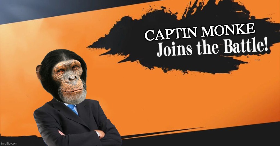 Smash Bros. | CAPTIN MONKE | image tagged in smash bros | made w/ Imgflip meme maker