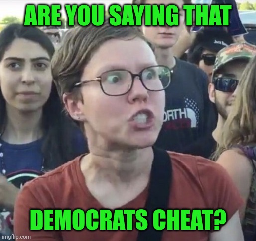 Triggered feminist | ARE YOU SAYING THAT DEMOCRATS CHEAT? | image tagged in triggered feminist | made w/ Imgflip meme maker